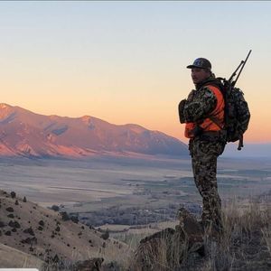 Meet your Posher, Dalton